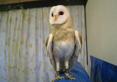 離陸寸前