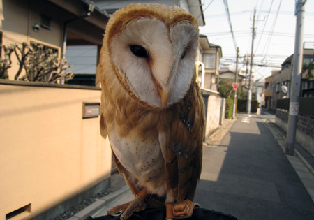 眠くなる