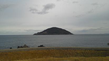 F1010098.jpg