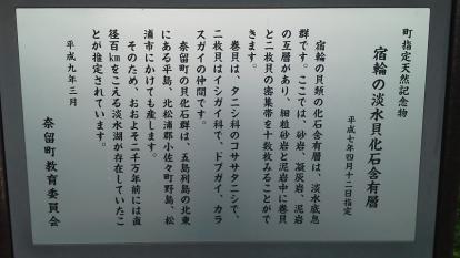 F1010157.jpg