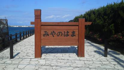 F1010164.jpg