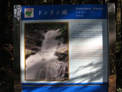 IMG_5412.jpg