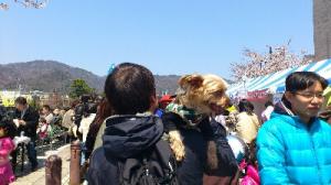 fc2blog_2012041908044059e.jpg