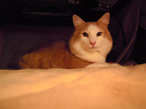 2013_11_28②