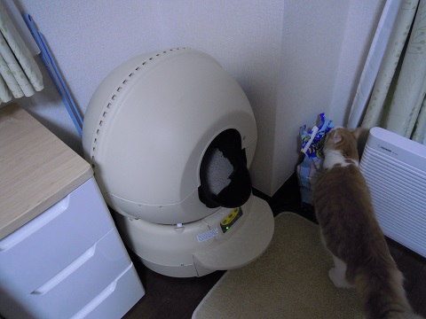 2013_11_30②
