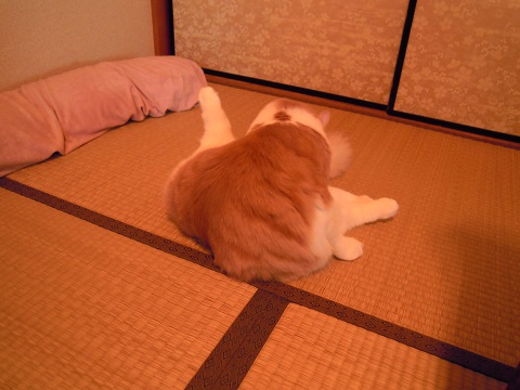 2013_11_30③