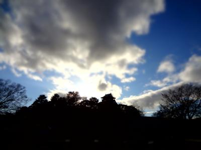 DSC02133_convert_20111231164452.jpg