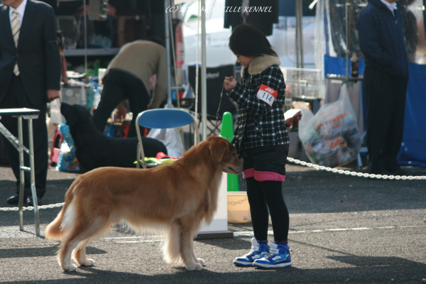 IMG_4056_4.jpg