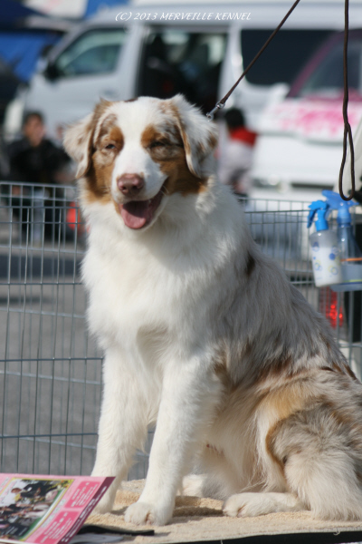 IMG_4064_4.jpg
