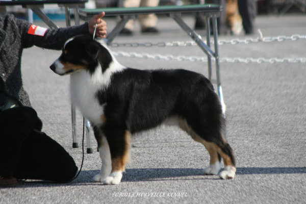IMG_4071_4.jpg