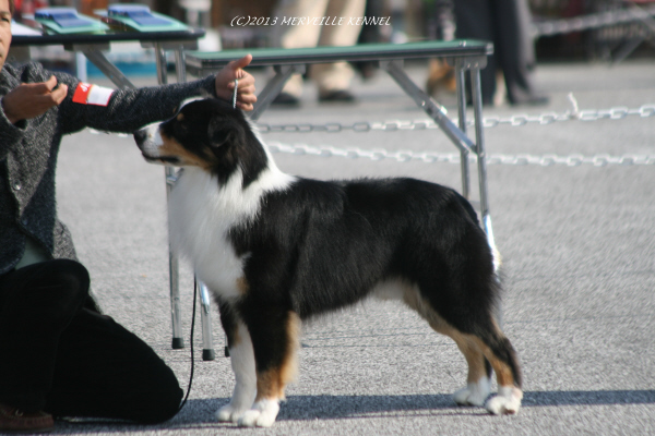 IMG_4072_5.jpg