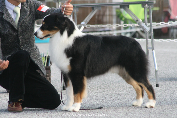 IMG_4092_7.jpg