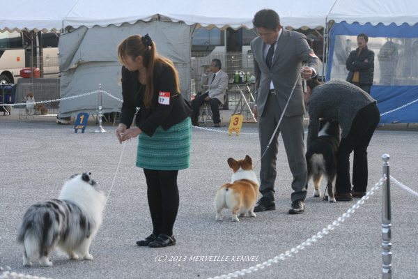 IMG_4093_11.jpg