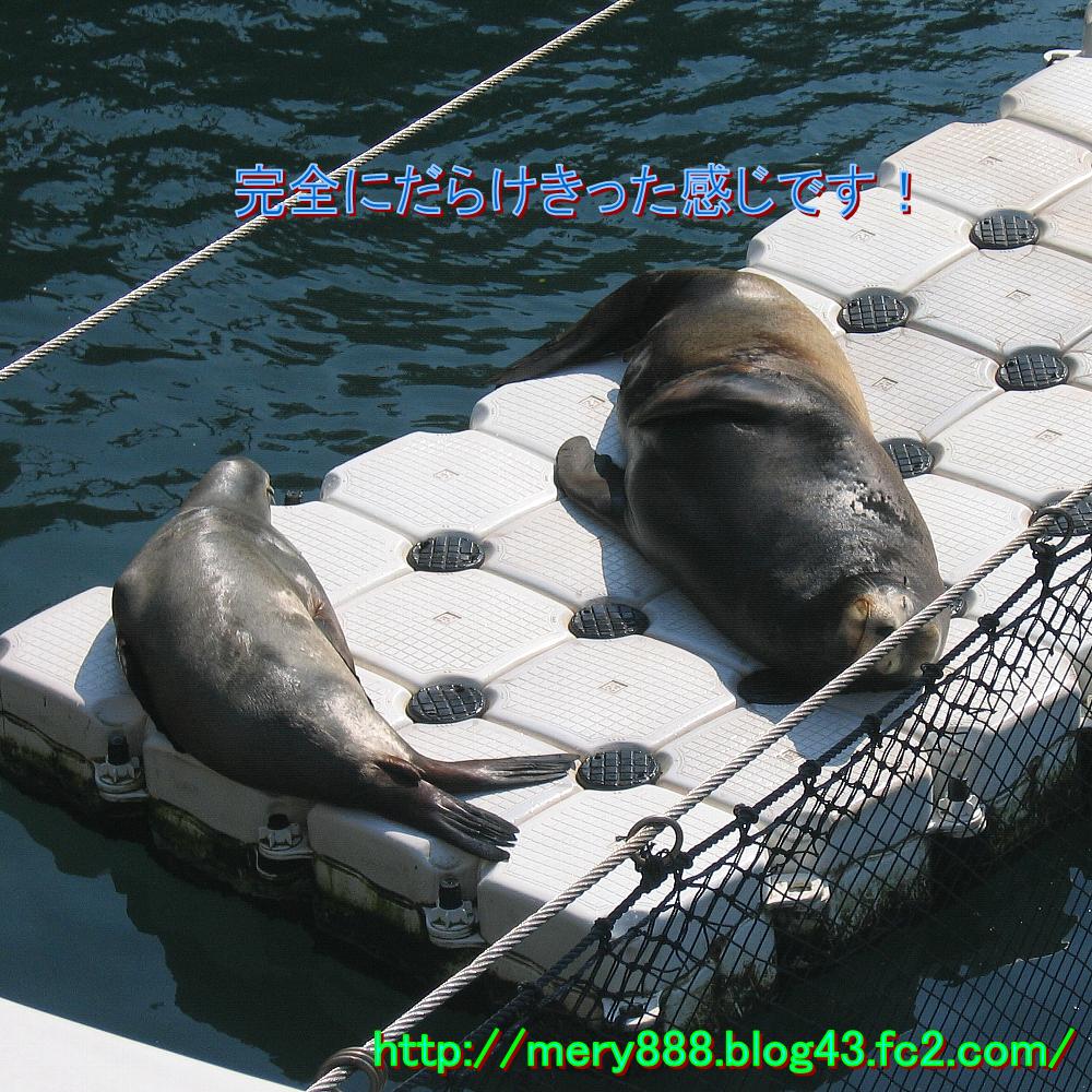 三津シーパラダイス0002