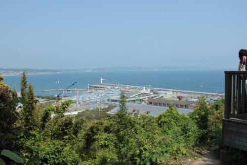 IMG_5985.jpg