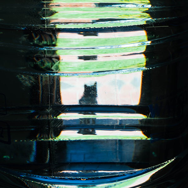 猫ボトルシルエット