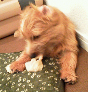 2012_04_09_21_17_10.jpg