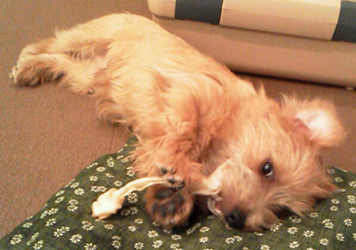 2012_04_09_21_20_45.jpg