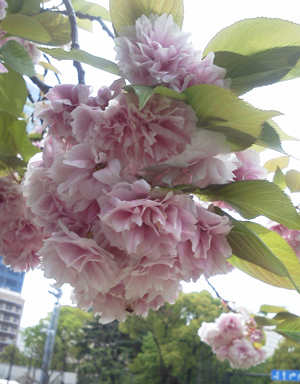 2012_04_28_01.jpg