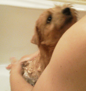 2012_04_29_05.jpg