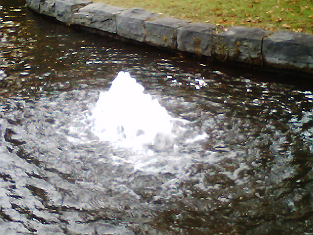 201110_s_01.jpg