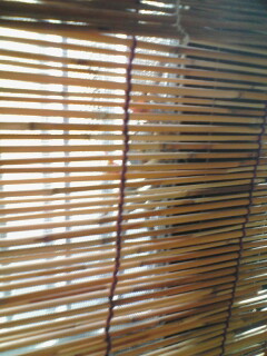 2013-10-10_09-39_0001.jpg