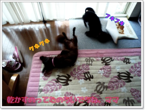 写真6P1120322