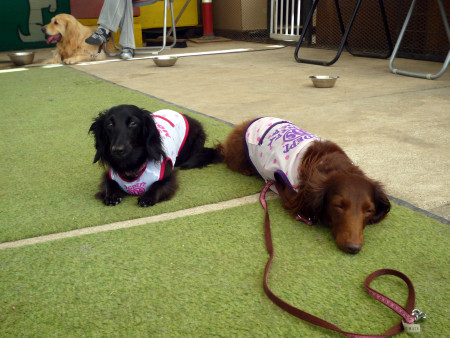 P1100880.jpg
