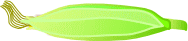 vegetables5.gif