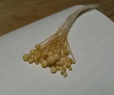 IMG_20130124_005928.jpg