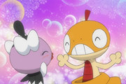 ※キバゴ視点