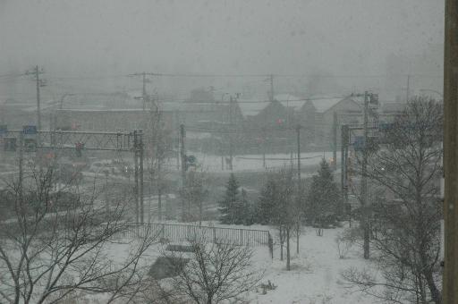 s-DSC_01835.jpg