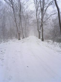 s-TS3Y0013.jpg