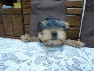 えい!!