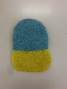 CIMG6427 (225x300)
