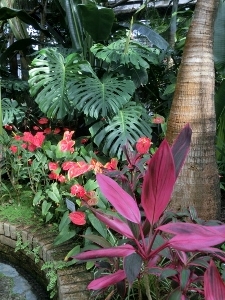 CIMG6601 (225x300)