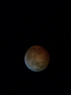 IMG_1057 (300x400)