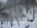 2011013011212900.jpg