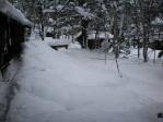 2011013110555700.jpg