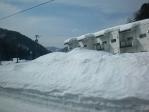 2011020610120300.jpg