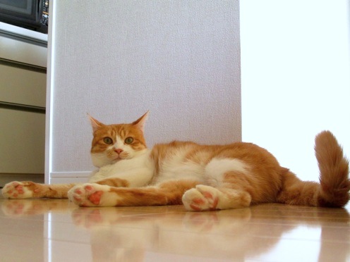 mikan_IMG_0574.jpg