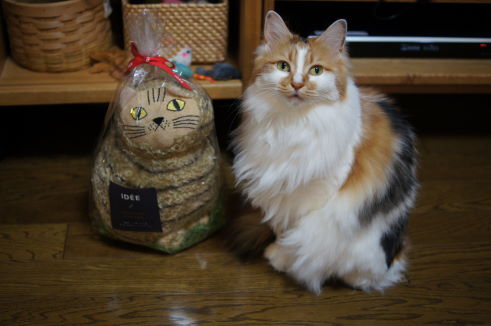 PIC20140211__0005.jpg