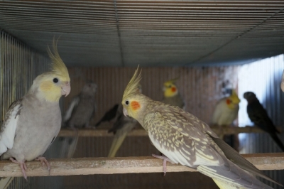 DSC00402 (640x425)