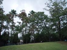 PB060197.jpg
