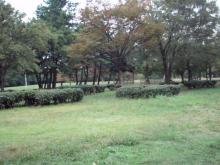 PB060217.jpg