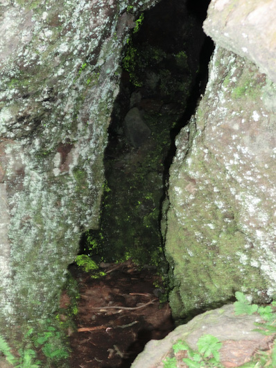 CIMG0197.jpg