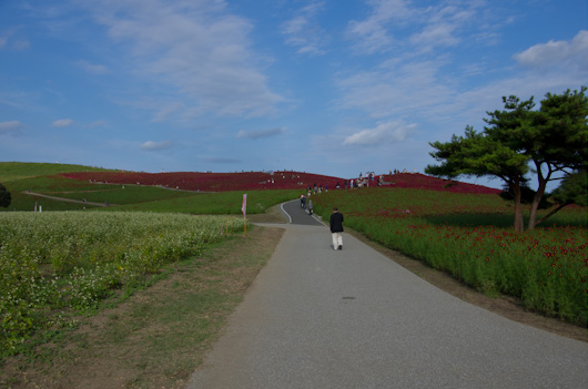 IMGP5227.jpg