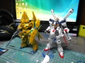 DSCN6015.jpg
