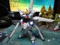DSCN6016.jpg
