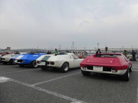 P1010274.jpg